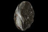 Bargain Septarian Dragon Egg Geode - Black Crystals #96013-2
